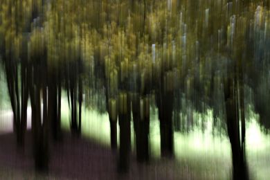 Helga Arnold: Impression